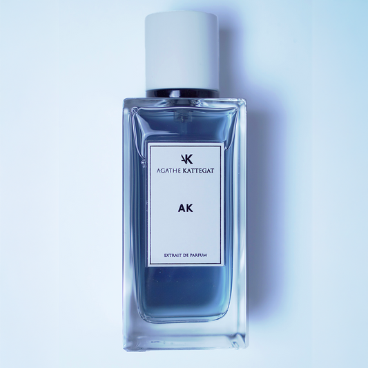 AK - Vue principale