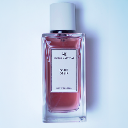 Noir Désir