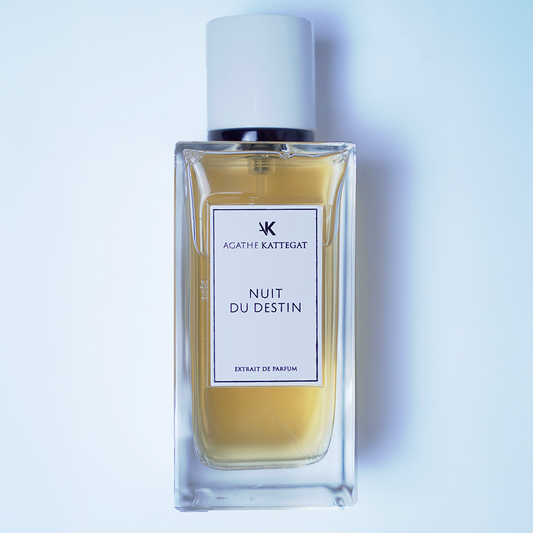 Nuit du Destin - Vue principale
